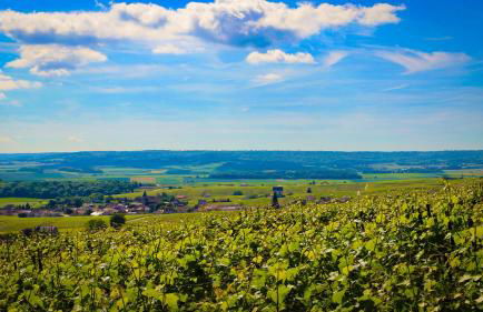 The Sparkling Castle - Foto 33