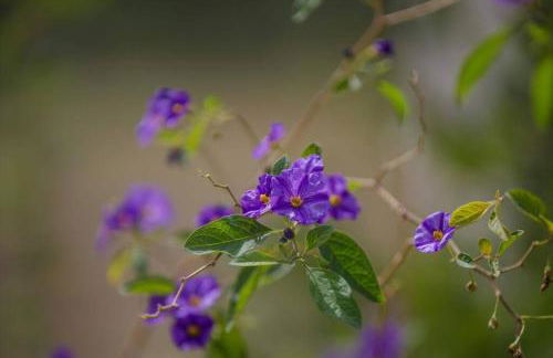 Alethea's Sea View Apartment - Foto 29