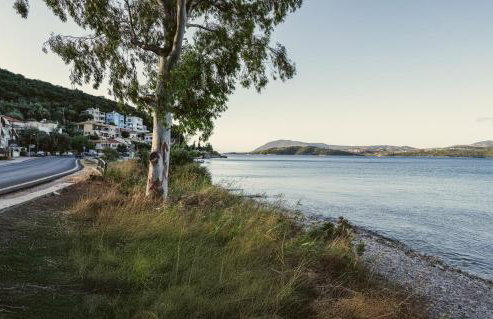 Aqua Lora - Photo 56