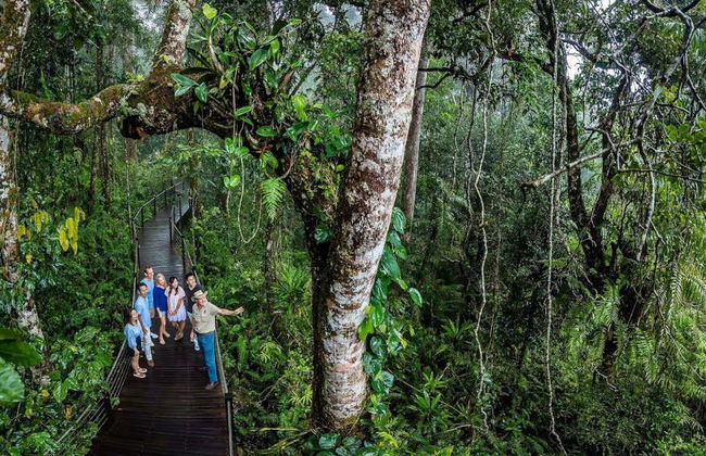 Day Trip to Kuranda: Scenic Rail and Skyrail - Photo 7