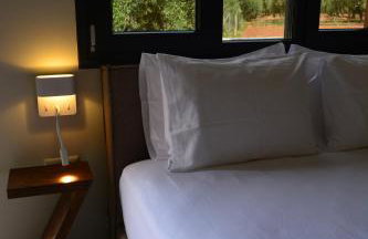 The Zen Point detox suites - Photo 27