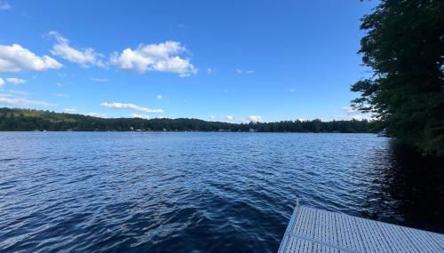 Bomoseen Fever - Foto 4