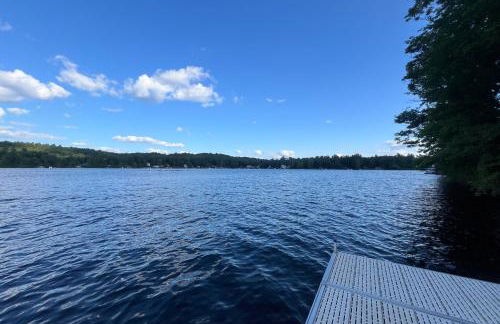 Bomoseen Fever - Foto 4