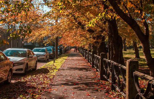 Gorgeous 1BR Wooster Sq. apt. - wshr/dryr, parking - Foto 27