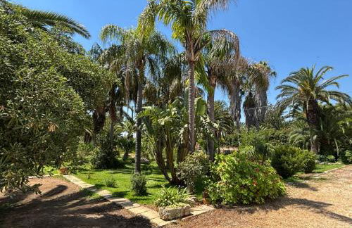 Nonna Maria - Foto 16