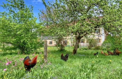 Bauernhof Geigerhof - Foto 3