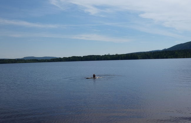 Knut's Camping och Lägenheter - Foto 22