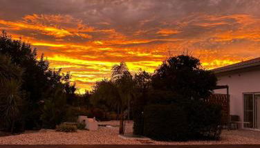 Quinta das Carpas - Foto 2