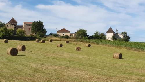 Tour Terelle - Photo 4