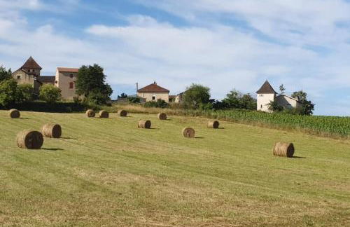 Tour Terelle - Photo 4