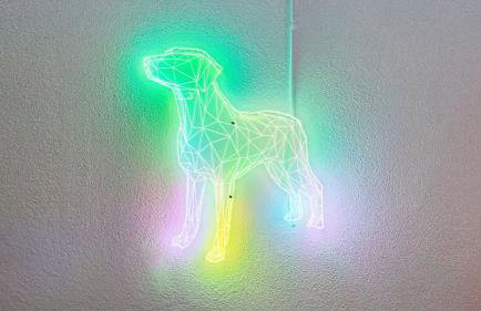 20 Acre Panoramic View Estate Hot Tub Pickleball Game Room - Foto 36