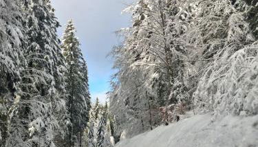 Fully equipped studio - Foto 3