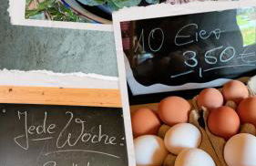 Ferienwohnung Eiernest - Foto 18