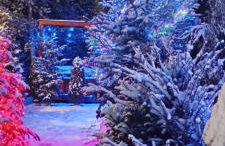 Lux Houses w DOMKU tylko DWA APARTAMENTYz jacuzzi zewnętrznym - Foto 64