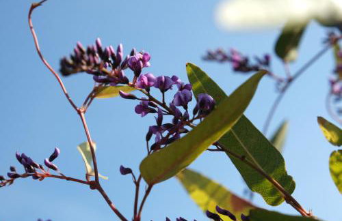 Colonna Country Home - Foto 35