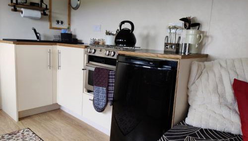 Cosy Off Grid Shepherds Hut with Wood Fired Hot Tub - Foto 3