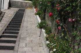 Paraiso das Flores - Foto 14