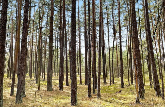 6 Person Holiday Home in Yngsjo-by Traum - Foto 24