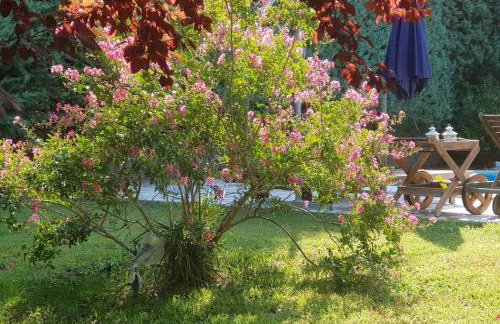 VILLA VICKY - Traditional villa in Evia - Foto 63