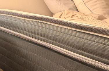 Le Clair-Obscur - Photo 31