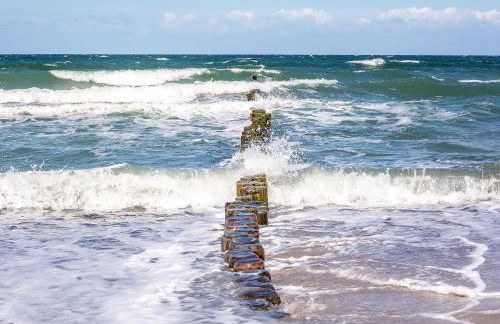 Dünenrose 4 Wolkenlos - Foto 44