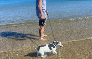 Adorable bedsit for you, partner and your pet! - Foto 48