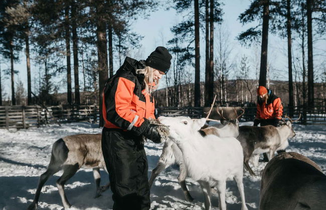Reindeer Sleigh Ride - Foto 1