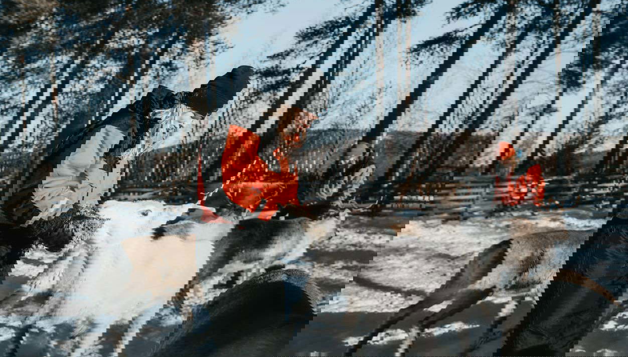 Visitando a fazenda de renas