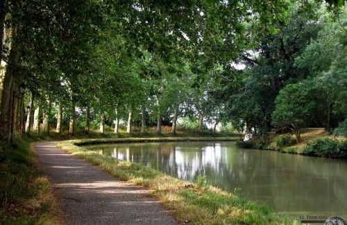 Escale à Castelnaudary - Foto 9