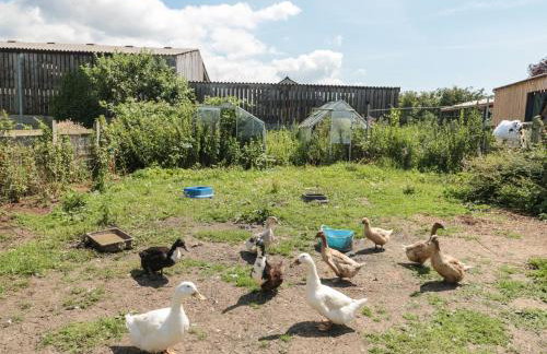 The Old Cow Shed - Foto 20