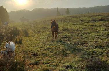 Siedlisko Dwa Żurawie - Uroczy domek nad stawem, z kominkiem, obok konie - Foto 22