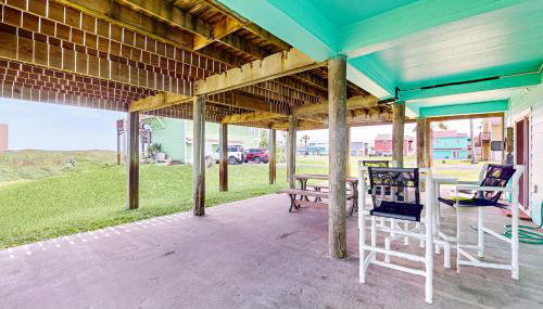 Lost Colony Lost Sea Turtle - Foto 2