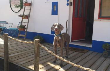 Casa Do Mestre Lau - Foto 5