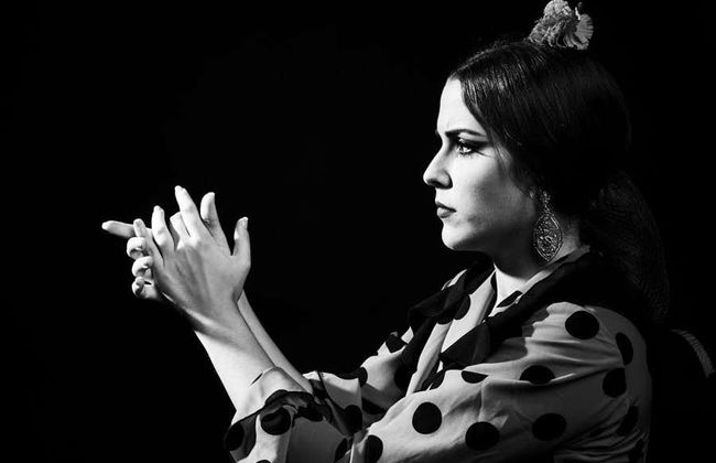 Teatro Flamenco Sevilla Show - Foto 6