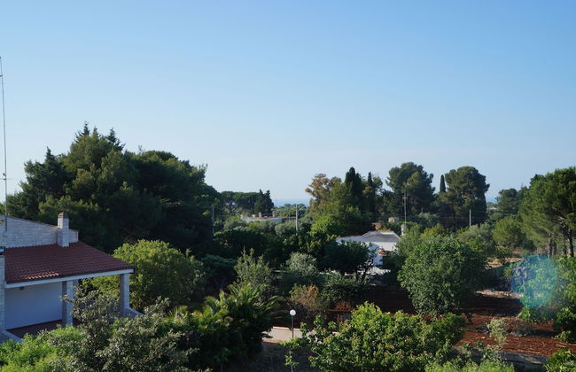 Villa Vita - Foto 24