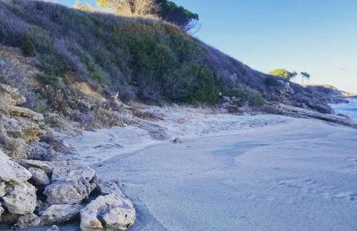 Gîtes Terra di a Bravona - Foto 59