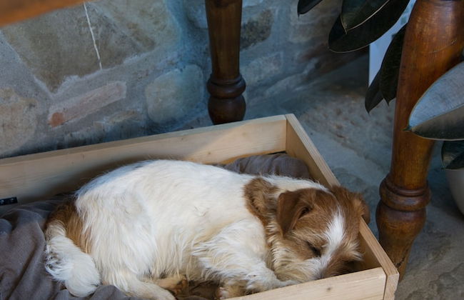 Salvadonica - Borgo del Chianti - Foto 29