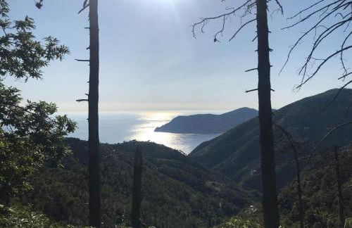 LA TERRAZZA DI MONTEROSSO - Photo 46