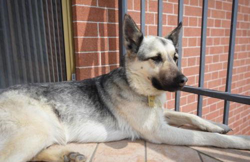 Casa Emy da Teresina - Photo 30