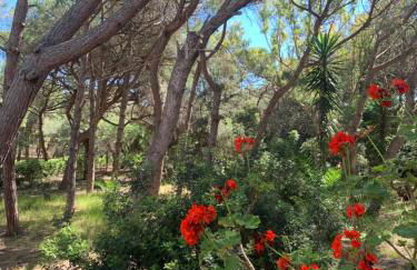 Villa Emma - Foto 34