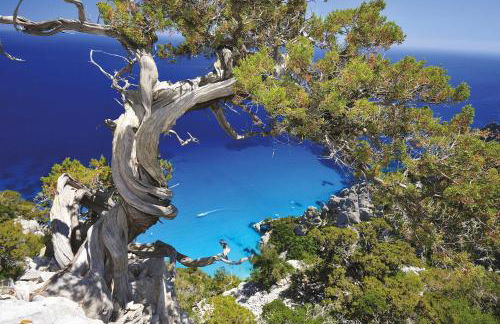 Palazzo Beddoro - Foto 40