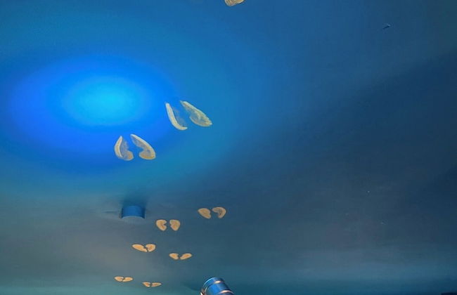 Glückliche Kuh-Villa - Foto 10