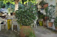 Casa Violeta by 8essentially - Photo 59