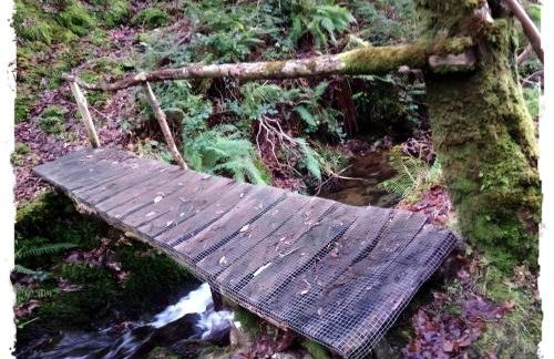 Casa Rural Lar de Sanxes - Foto 43