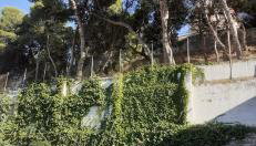Family home with pool and garden in Tudela center - Photo 1, Garden