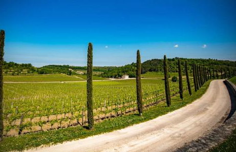 Mondellebotte - Luxus Villa & traumhafter Meerblick - Foto 53