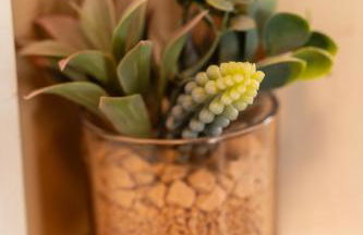 Charmant appartement Vosgien centre Saint Dié, proche montagnes - Foto 19