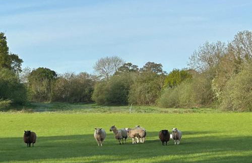 Fabulous Barn in Great Wolford, Moreton in Marsh - Foto 11