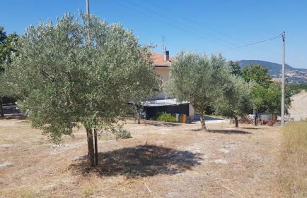 VILLA DUE TIGLI - Foto 53