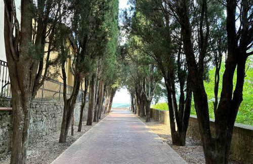 Residenza Le Mura - Foto 17